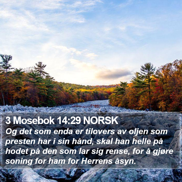 3 Mosebok 14:29 NORSK Bible Study