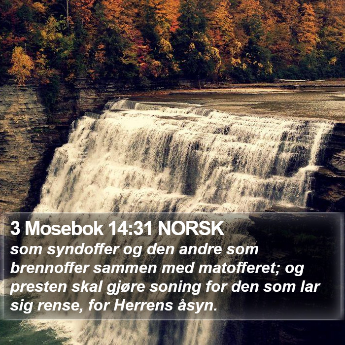 3 Mosebok 14:31 NORSK Bible Study