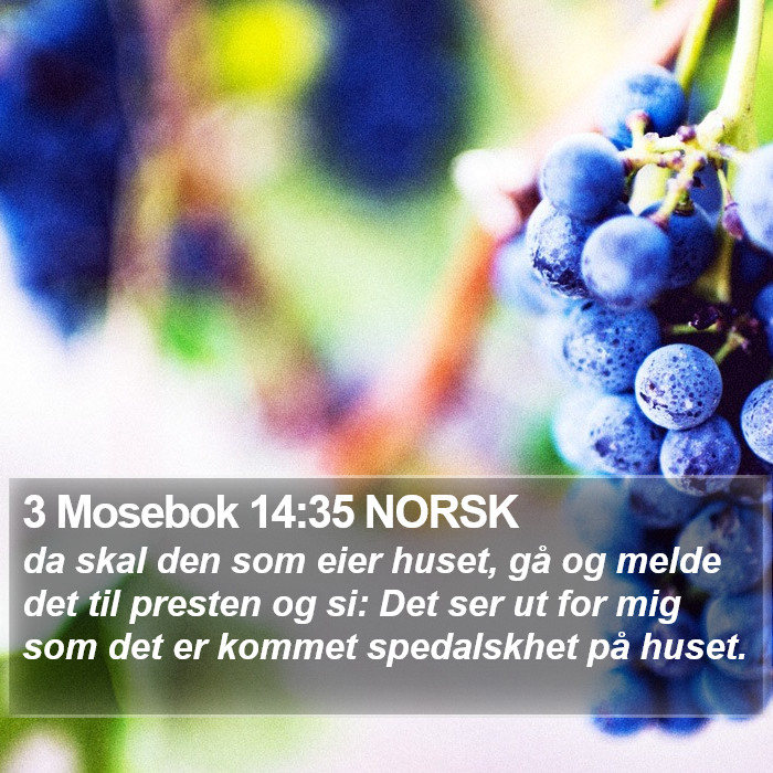 3 Mosebok 14:35 NORSK Bible Study