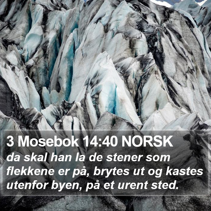 3 Mosebok 14:40 NORSK Bible Study