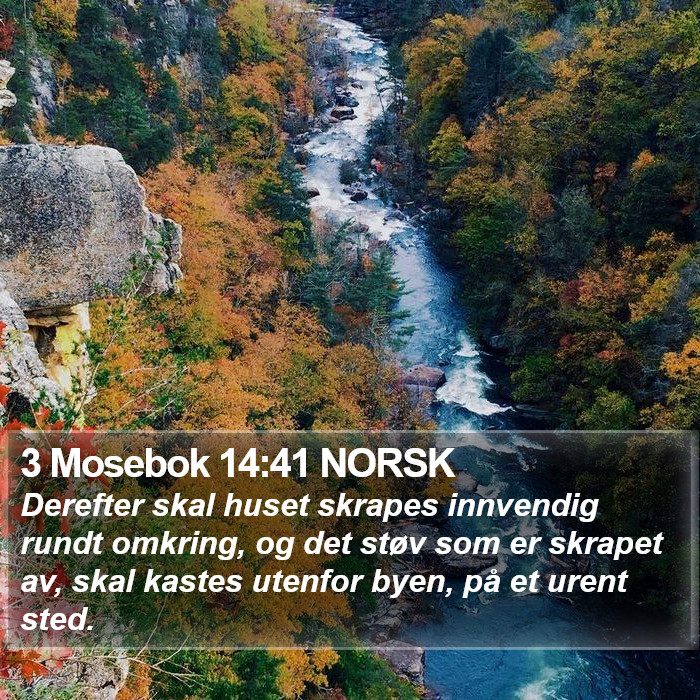 3 Mosebok 14:41 NORSK Bible Study