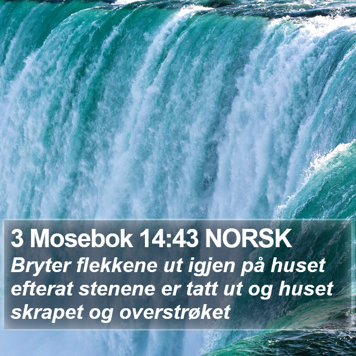 3 Mosebok 14:43 NORSK Bible Study