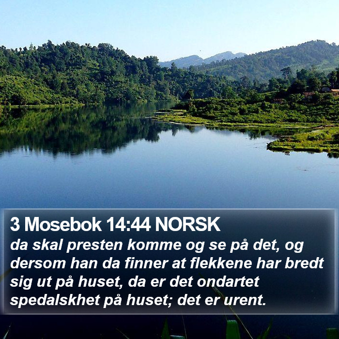 3 Mosebok 14:44 NORSK Bible Study