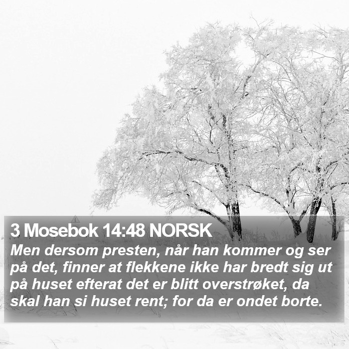 3 Mosebok 14:48 NORSK Bible Study