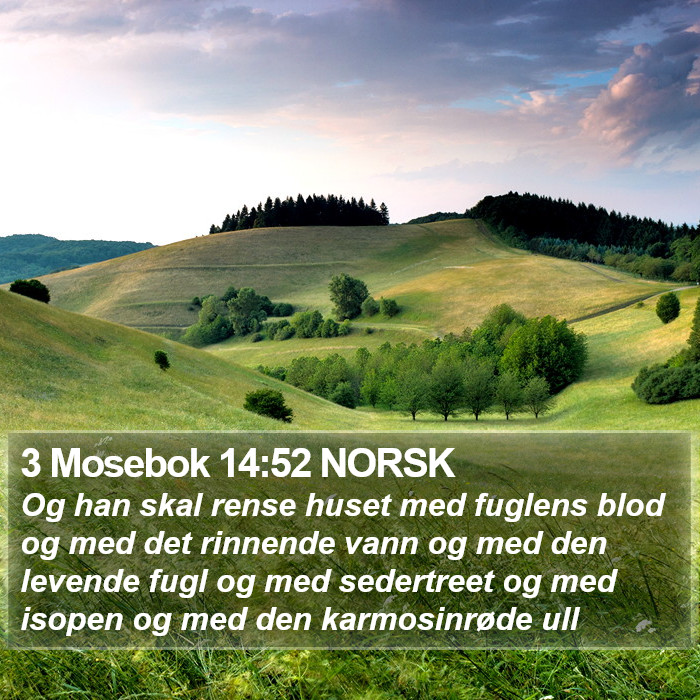 3 Mosebok 14:52 NORSK Bible Study