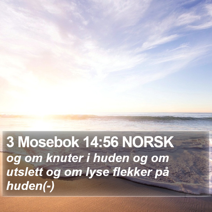 3 Mosebok 14:56 NORSK Bible Study