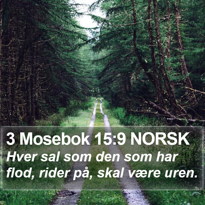 3 Mosebok 15:9 NORSK Bible Study