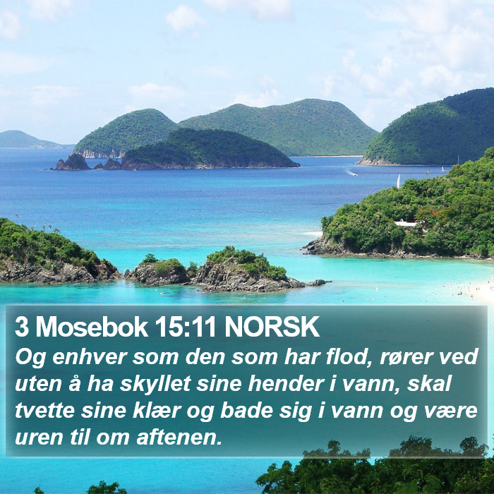 3 Mosebok 15:11 NORSK Bible Study