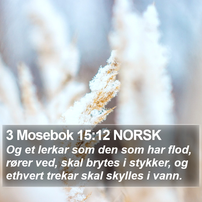 3 Mosebok 15:12 NORSK Bible Study