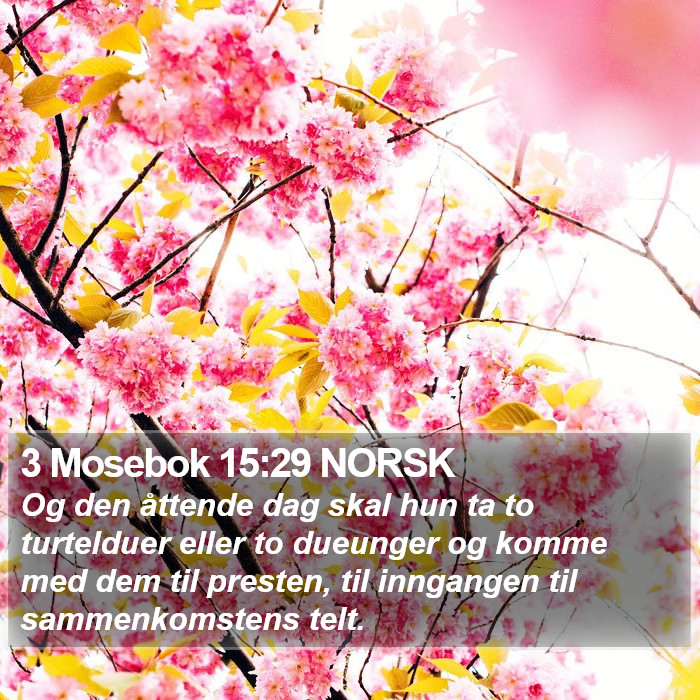 3 Mosebok 15:29 NORSK Bible Study