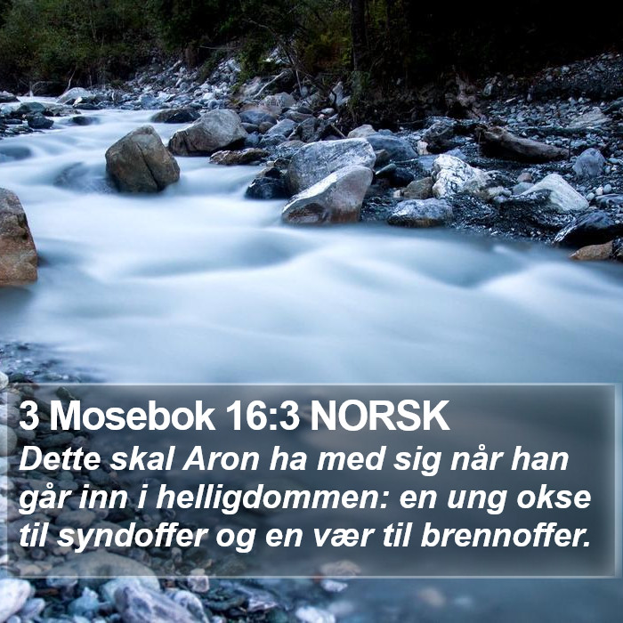 3 Mosebok 16:3 NORSK Bible Study