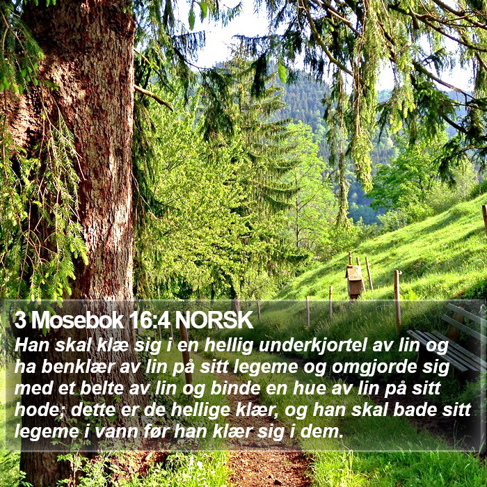 3 Mosebok 16:4 NORSK Bible Study