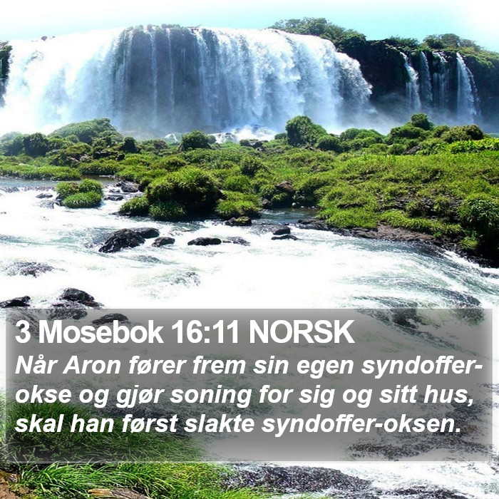 3 Mosebok 16:11 NORSK Bible Study