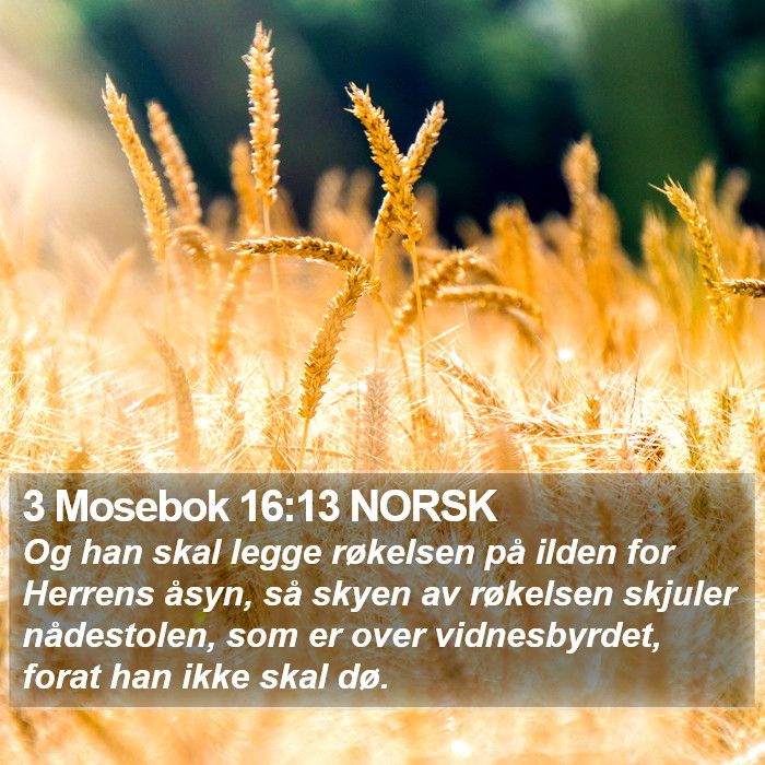 3 Mosebok 16:13 NORSK Bible Study