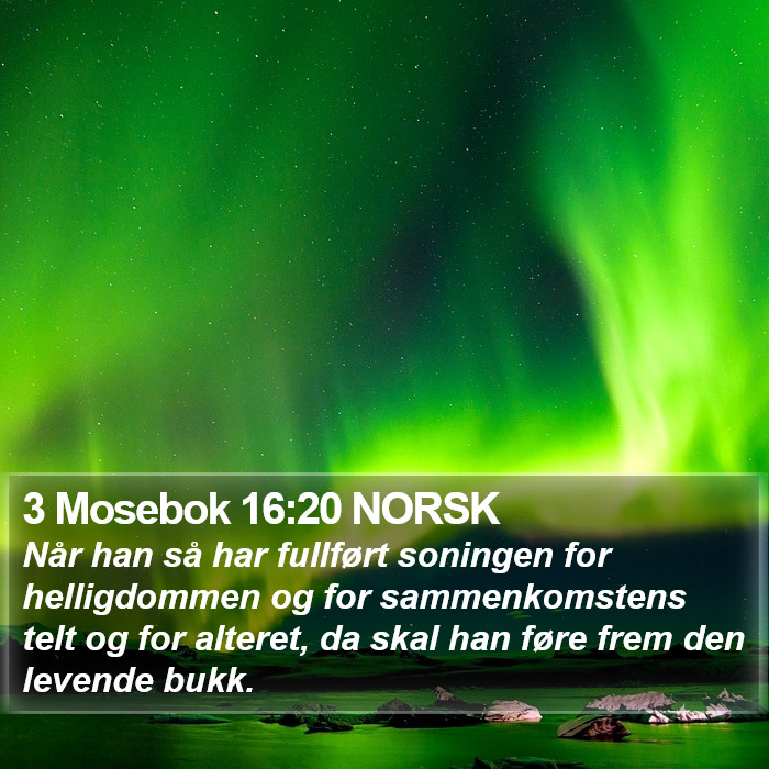 3 Mosebok 16:20 NORSK Bible Study