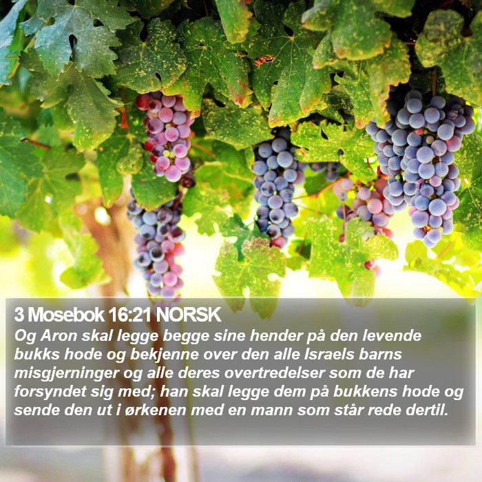 3 Mosebok 16:21 NORSK Bible Study