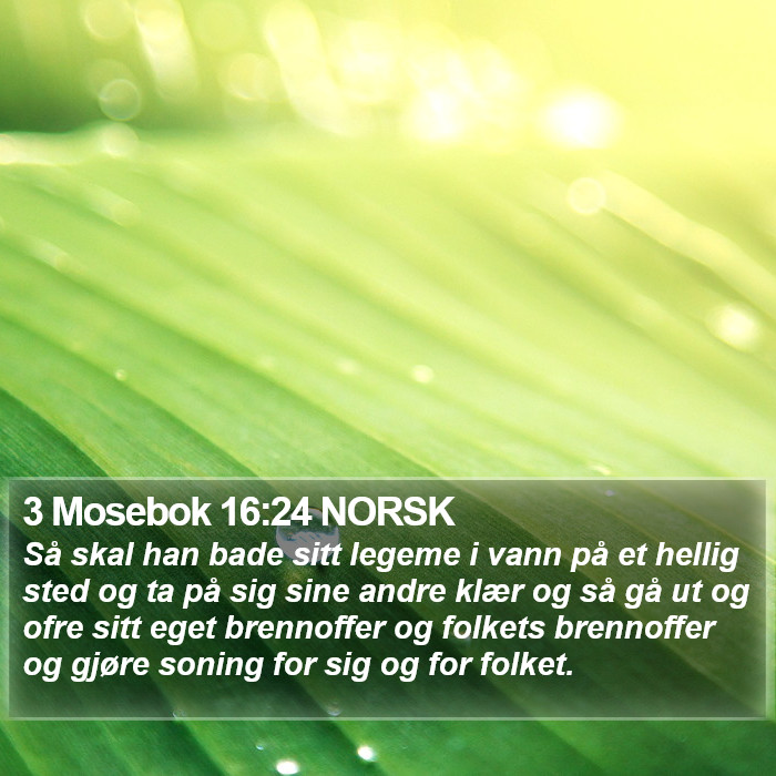 3 Mosebok 16:24 NORSK Bible Study