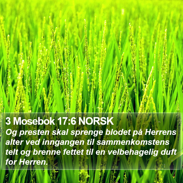 3 Mosebok 17:6 NORSK Bible Study