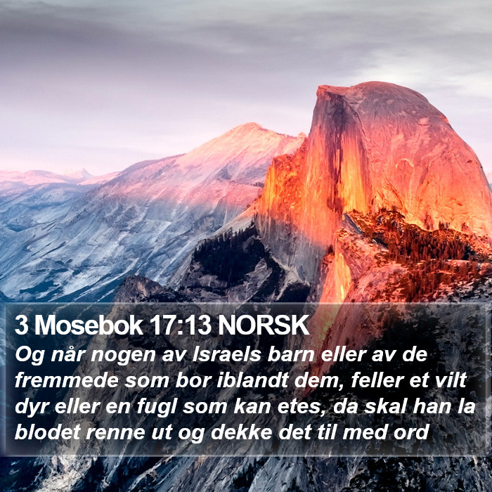 3 Mosebok 17:13 NORSK Bible Study