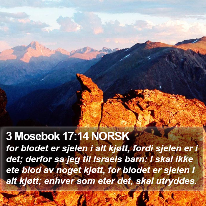 3 Mosebok 17:14 NORSK Bible Study