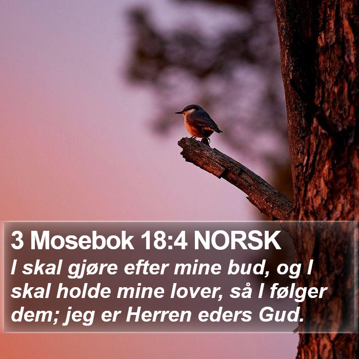 3 Mosebok 18:4 NORSK Bible Study