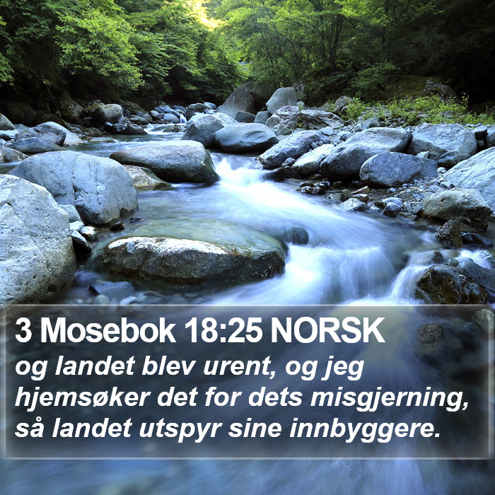 3 Mosebok 18:25 NORSK Bible Study