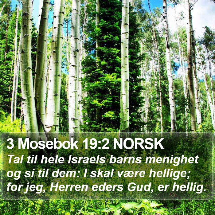 3 Mosebok 19:2 NORSK Bible Study