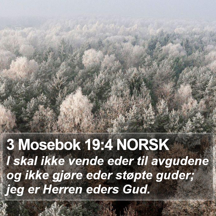 3 Mosebok 19:4 NORSK Bible Study