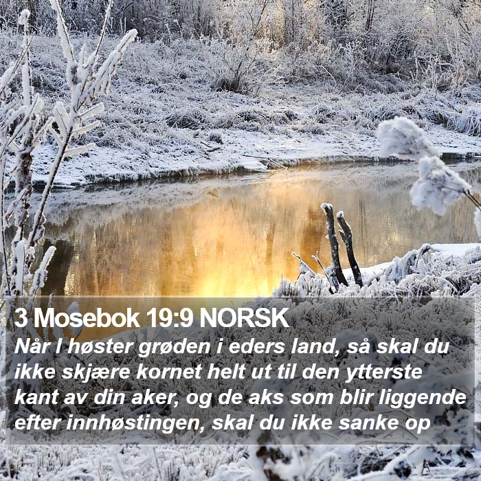 3 Mosebok 19:9 NORSK Bible Study