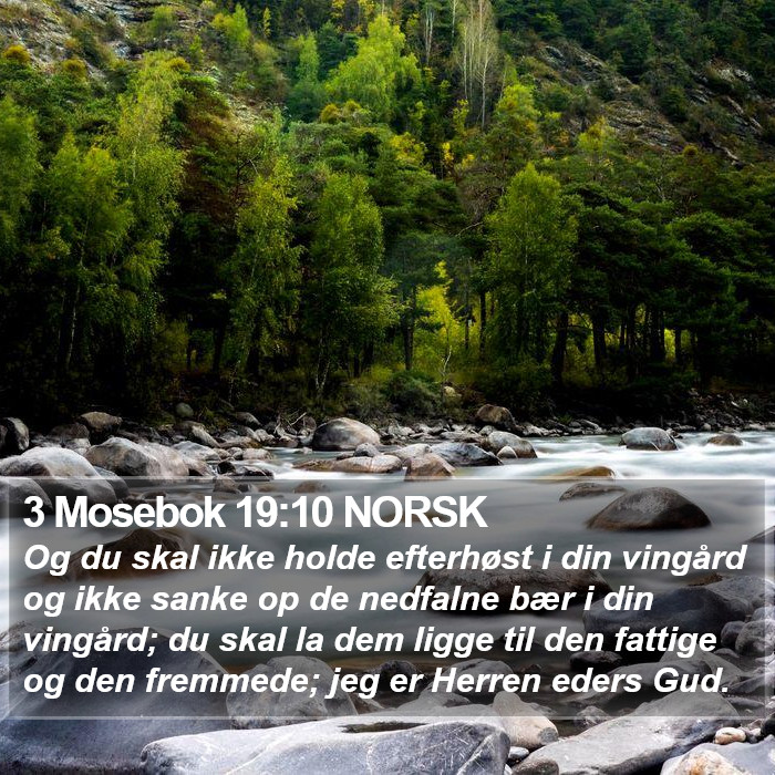 3 Mosebok 19:10 NORSK Bible Study