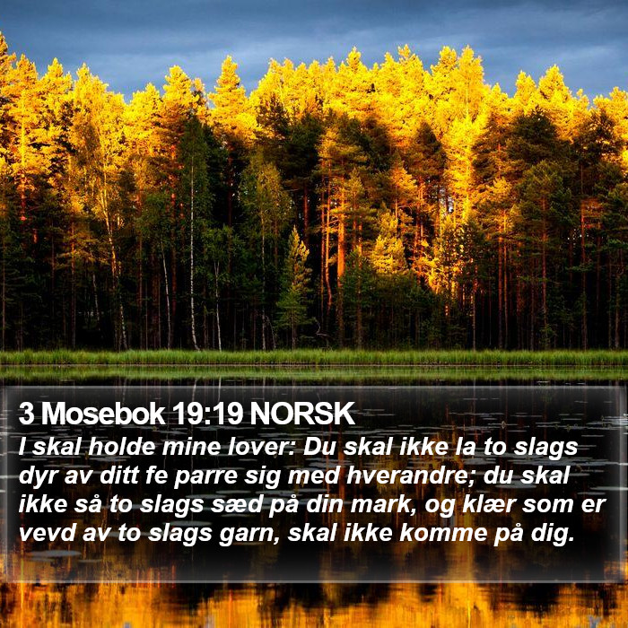 3 Mosebok 19:19 NORSK Bible Study