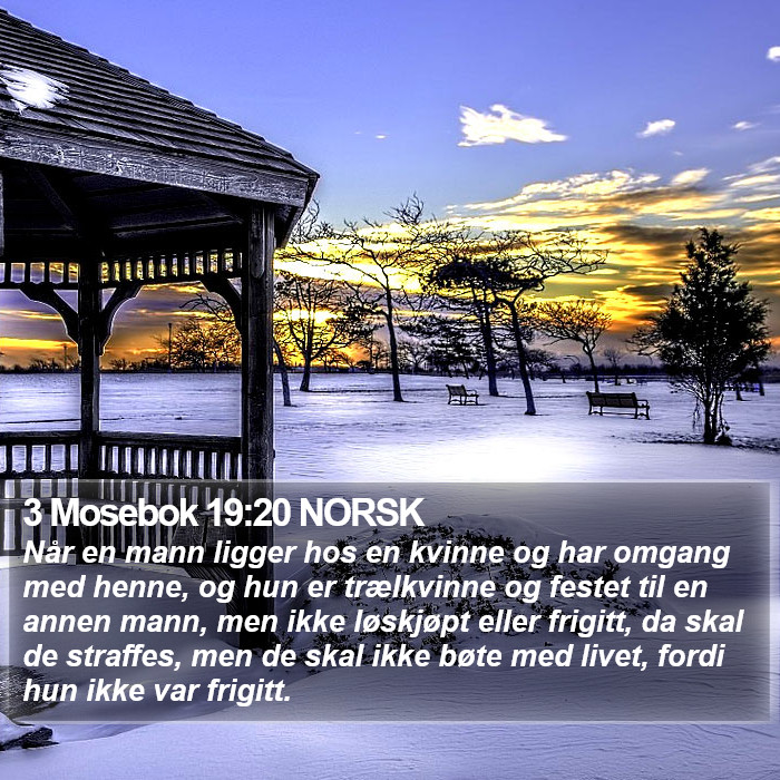 3 Mosebok 19:20 NORSK Bible Study