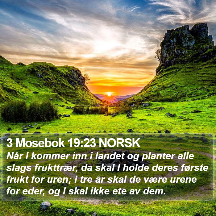 3 Mosebok 19:23 NORSK Bible Study