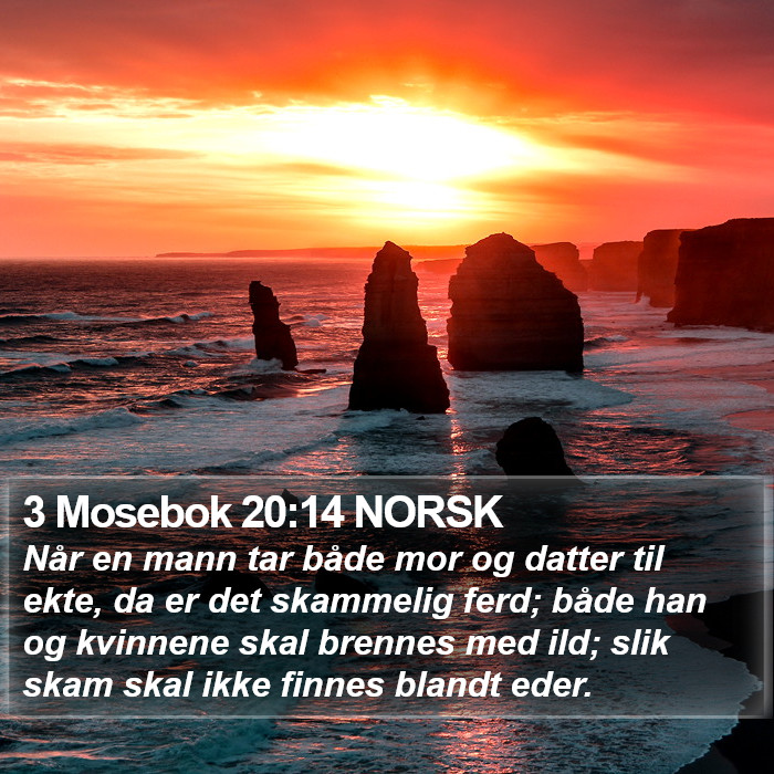 3 Mosebok 20:14 NORSK Bible Study