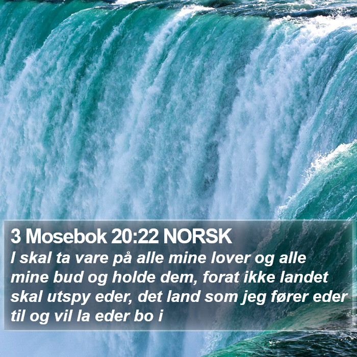 3 Mosebok 20:22 NORSK Bible Study