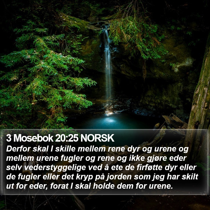 3 Mosebok 20:25 NORSK Bible Study