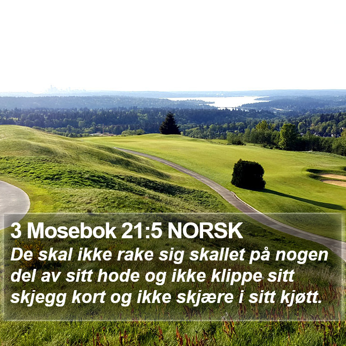 3 Mosebok 21:5 NORSK Bible Study