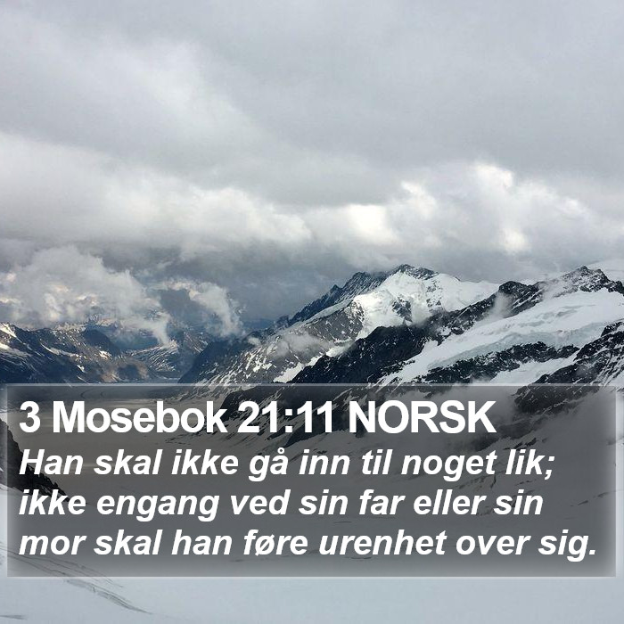 3 Mosebok 21:11 NORSK Bible Study