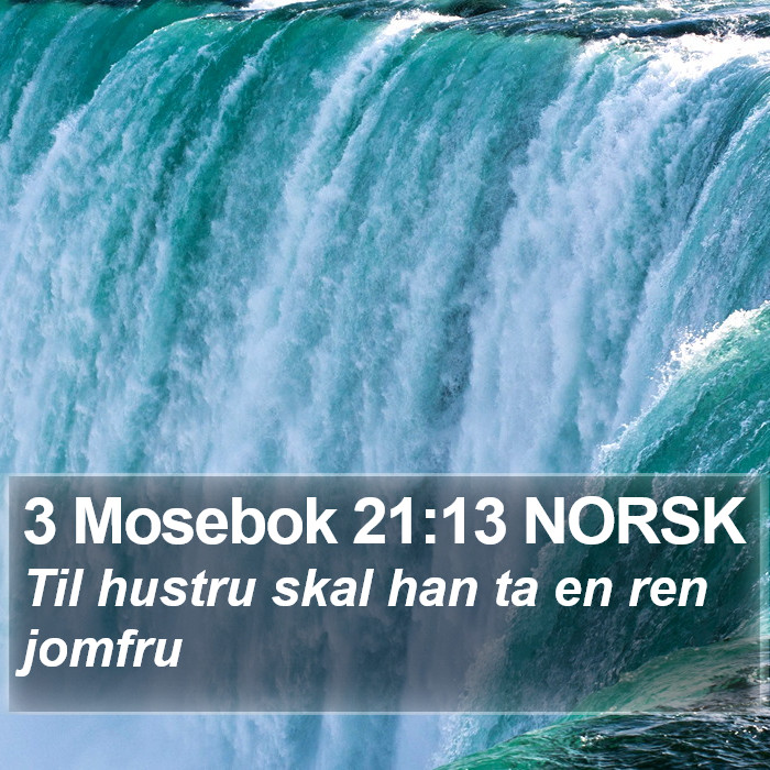 3 Mosebok 21:13 NORSK Bible Study