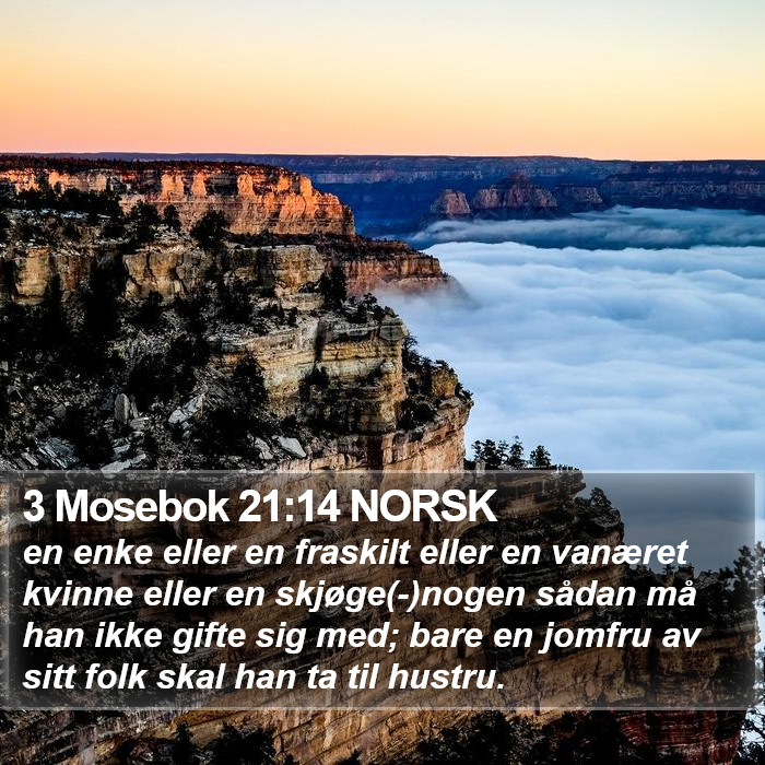 3 Mosebok 21:14 NORSK Bible Study