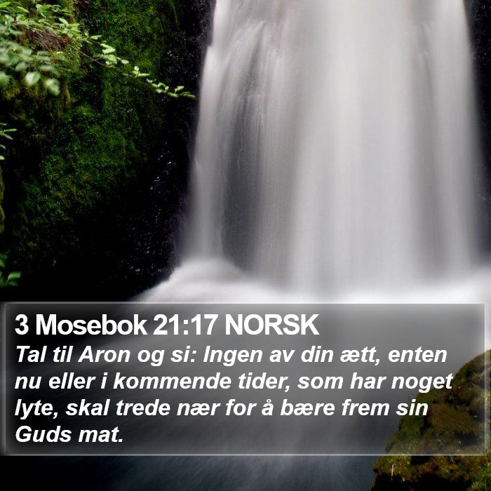 3 Mosebok 21:17 NORSK Bible Study