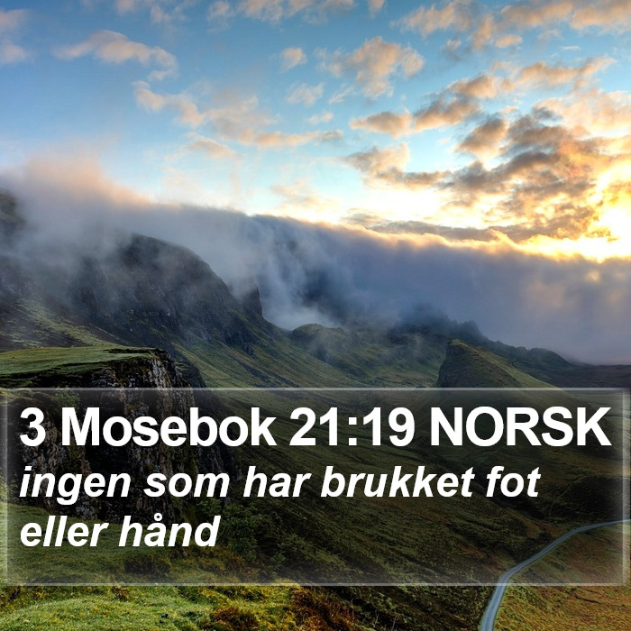 3 Mosebok 21:19 NORSK Bible Study