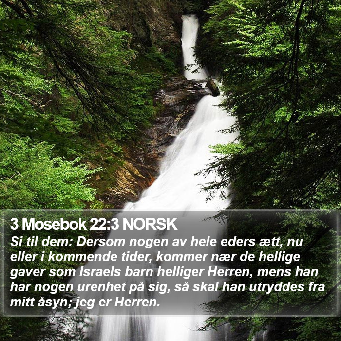 3 Mosebok 22:3 NORSK Bible Study