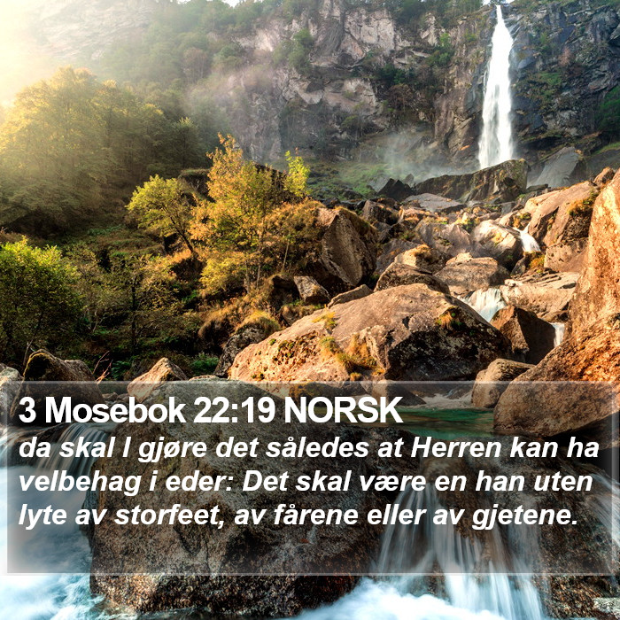 3 Mosebok 22:19 NORSK Bible Study