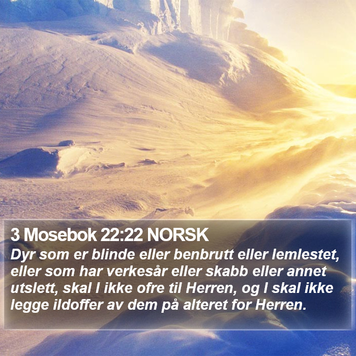 3 Mosebok 22:22 NORSK Bible Study