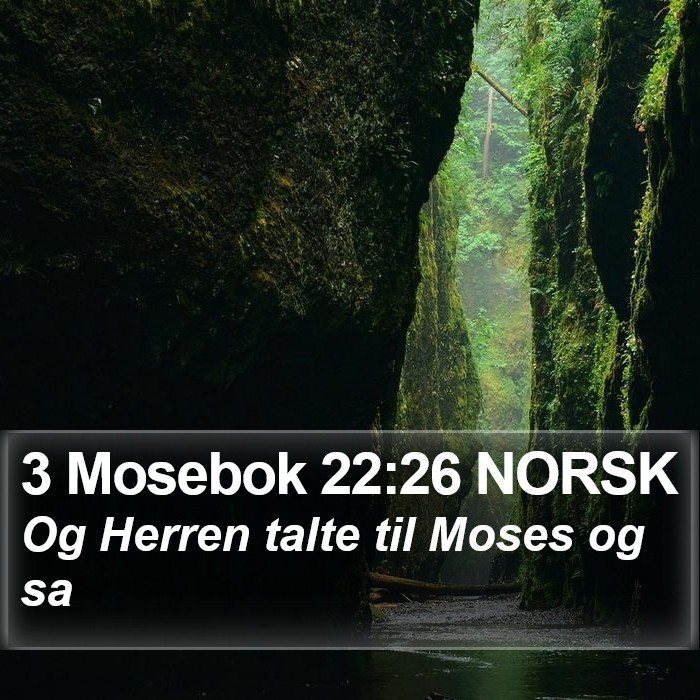 3 Mosebok 22:26 NORSK Bible Study