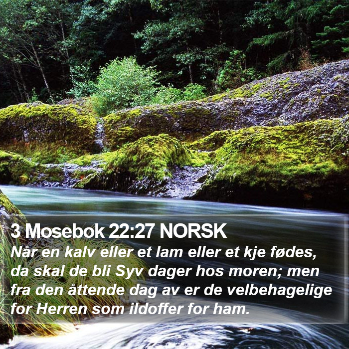 3 Mosebok 22:27 NORSK Bible Study