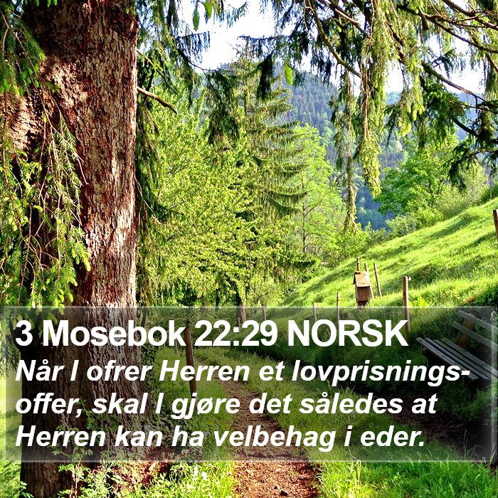 3 Mosebok 22:29 NORSK Bible Study