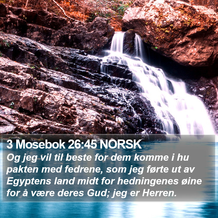 3 Mosebok 26:45 NORSK Bible Study