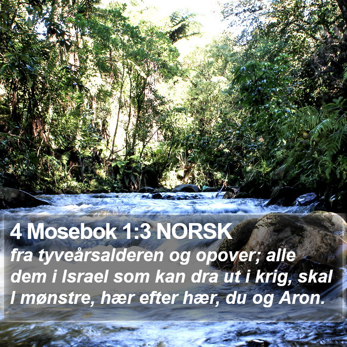 4 Mosebok 1:3 NORSK Bible Study